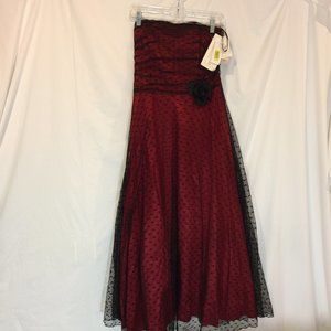 Scott McClintock Special Occasion Dress Sz 10 NWT